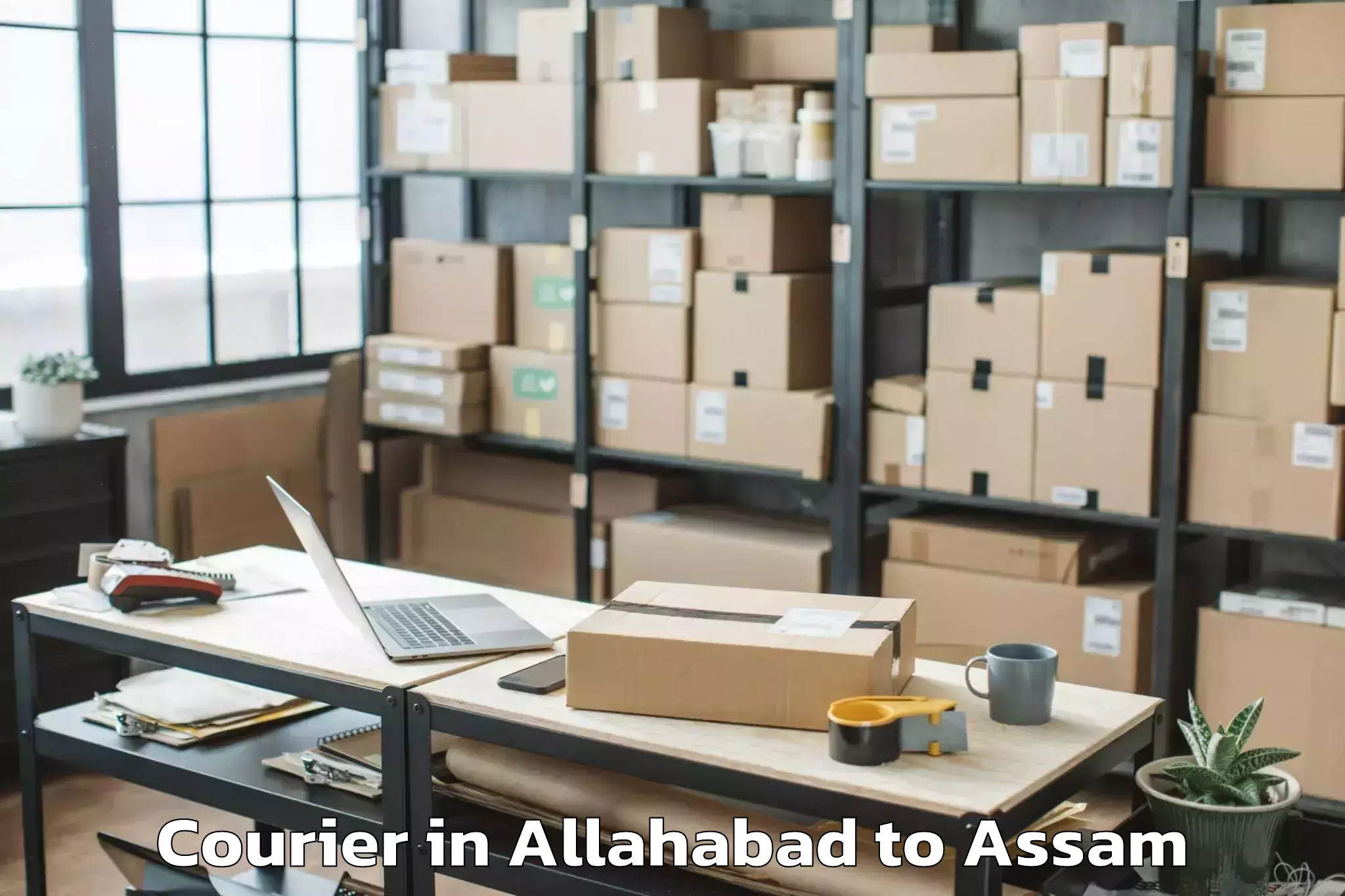 Book Allahabad to Pandu Courier Online